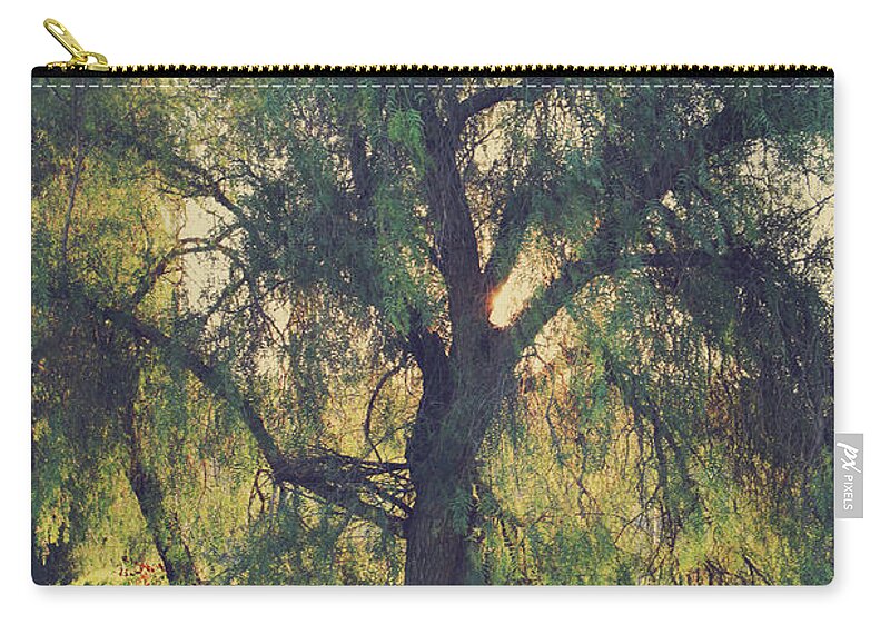 Trees Zip Pouch featuring the photograph Shine Your Light by Laurie Search