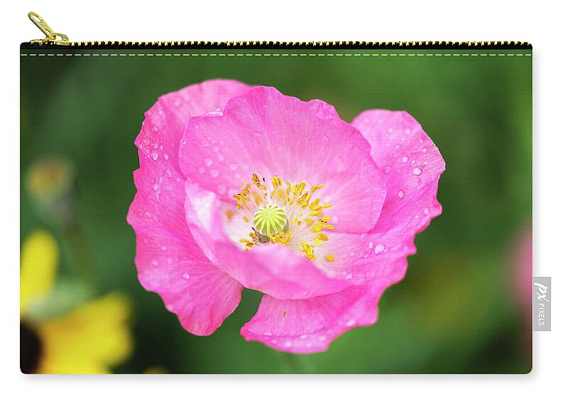 Shirley Poppy Carry-all Pouch featuring the photograph Shirley Poppy 2018-7 by Thomas Young