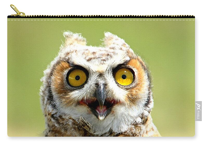 Owl Zip Pouch featuring the photograph Shock value by Heather King