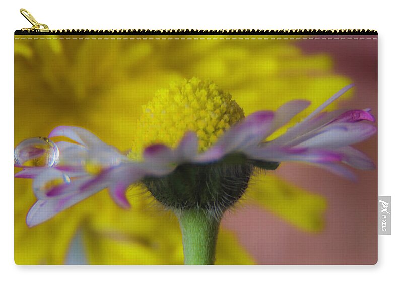 Daisy Zip Pouch featuring the photograph Show-off Daisy by Wolfgang Stocker