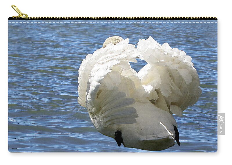 Swan Zip Pouch featuring the photograph Showboating Swan  by Christopher Mercer