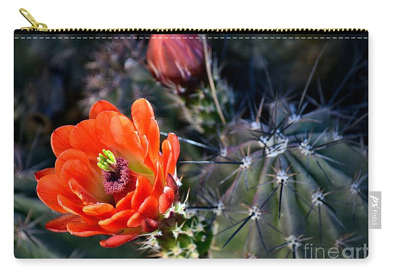 Claret Cup Cactus Zip Pouch featuring the photograph Showoff by Deb Halloran