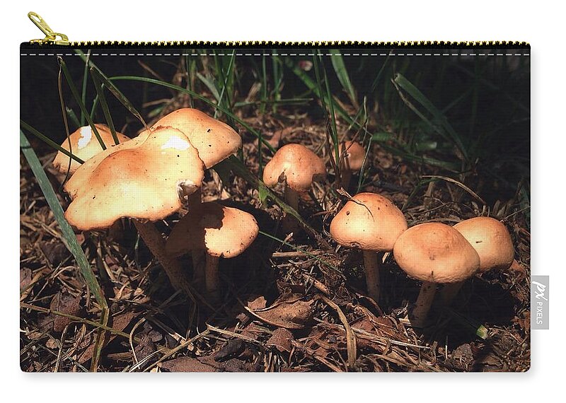 Mushroom Zip Pouch featuring the photograph Shroom Doom by Annie Walczyk
