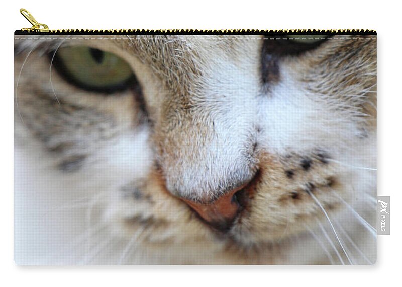Cat Zip Pouch featuring the photograph Shyness by Munir Alawi