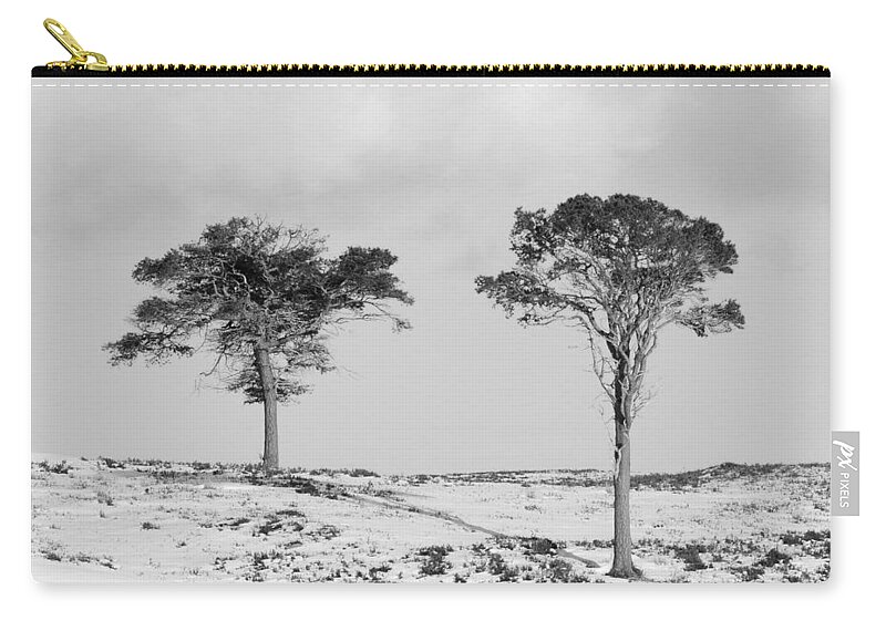 Scots Pine Trees Zip Pouch featuring the photograph Siblings by Gavin MacRae