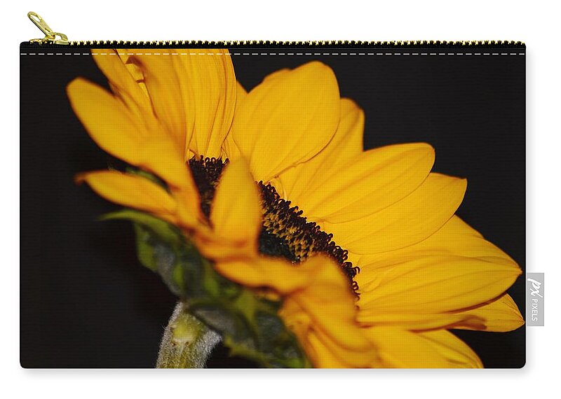 Side Of Sunflower Zip Pouch featuring the photograph Side of Sunflower by Warren Thompson
