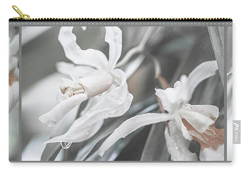 Jenny Rainbow Fine Art Photography Zip Pouch featuring the photograph Silver Melody. Triptych by Jenny Rainbow