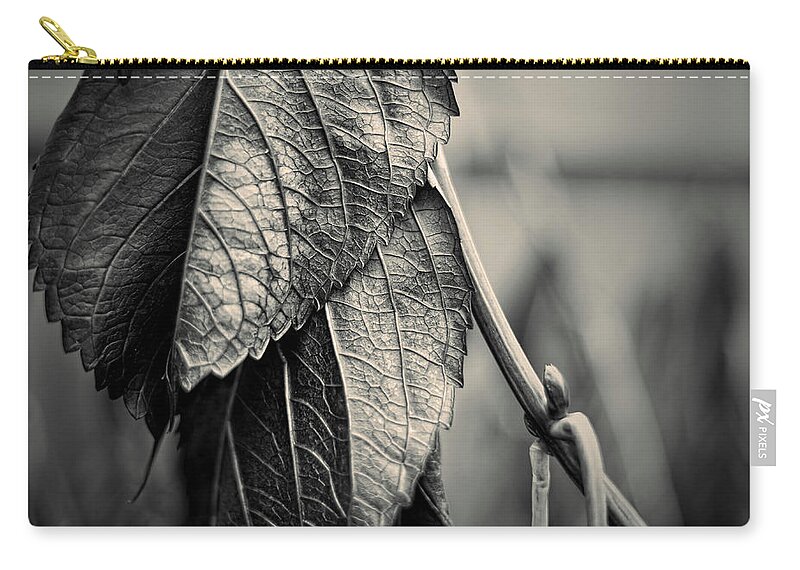Black Zip Pouch featuring the photograph Silvery Leaf III Toned by David Gordon