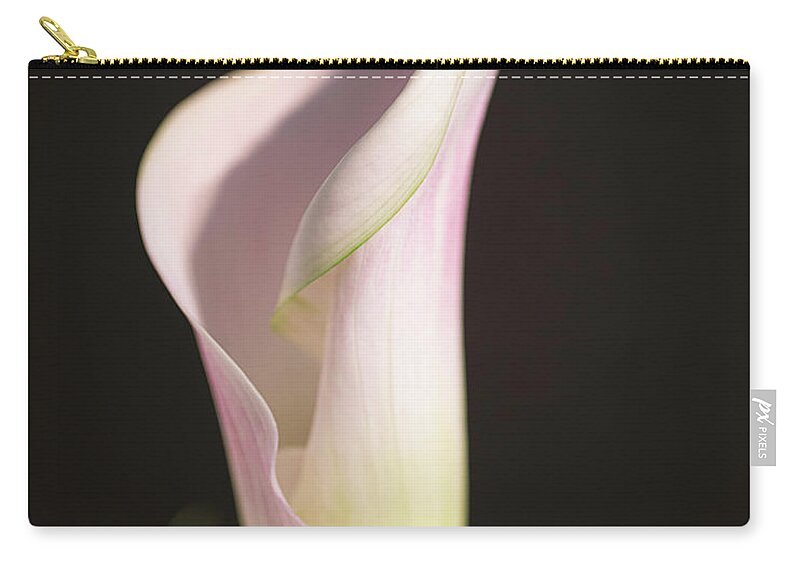 Flower Zip Pouch featuring the photograph Simple Elegance by Teresa Wilson