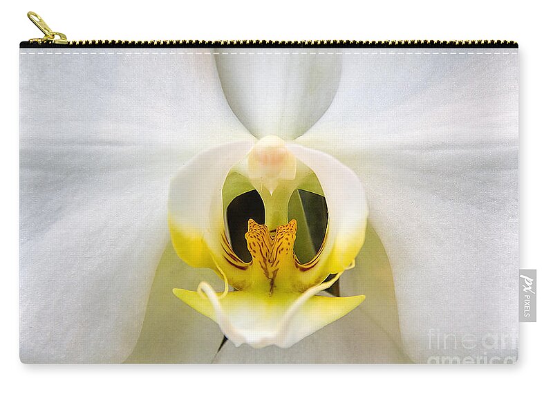 Simplicitymoth Orchid Zip Pouch featuring the photograph Simplicity by Jemmy Archer