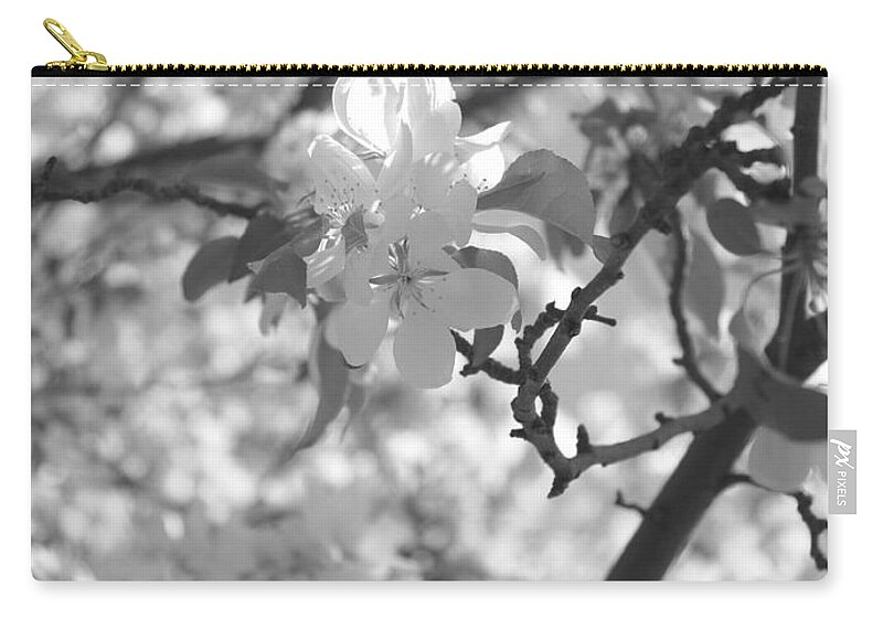 Monochrome Zip Pouch featuring the photograph Simplicity by Jessica Myscofski