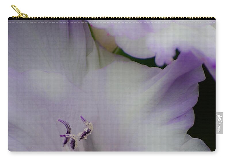 Flowers Zip Pouch featuring the photograph Simplicity by Stewart Helberg