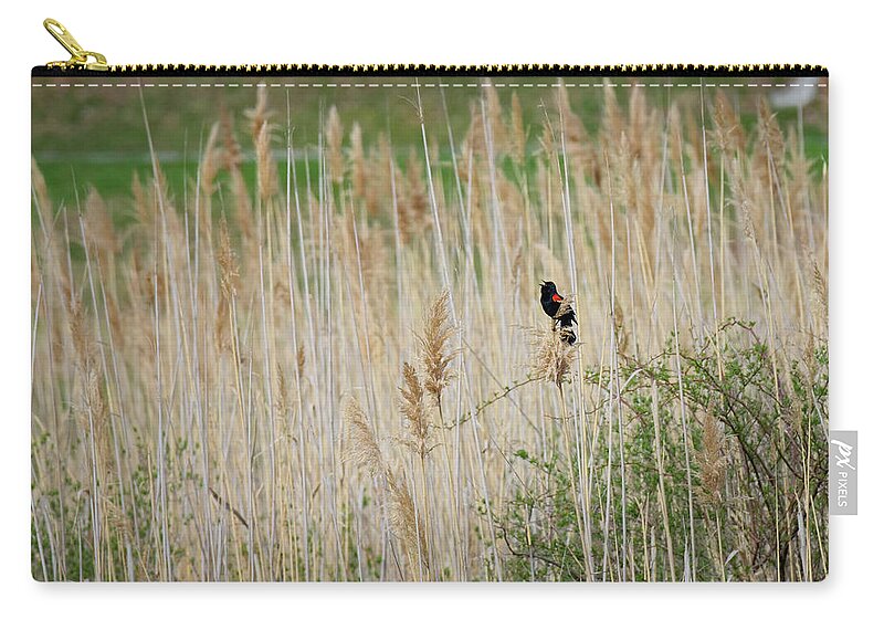 Spring Zip Pouch featuring the photograph Sing for Spring by Bill Wakeley