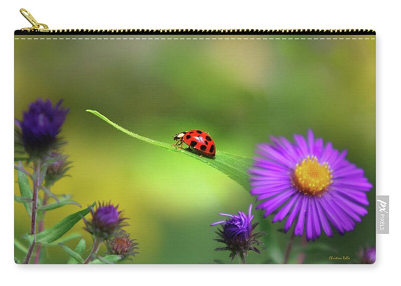 Ladybug Carry-all Pouch featuring the photograph Single In Search by Christina Rollo