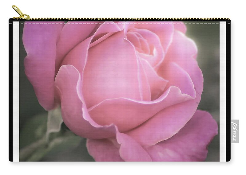 Pink Rose Zip Pouch featuring the photograph Single Stem Pink Rose by Joann Copeland-Paul