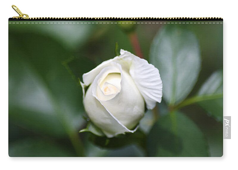 Roses Zip Pouch featuring the photograph Single White Rose by Christina Rollo