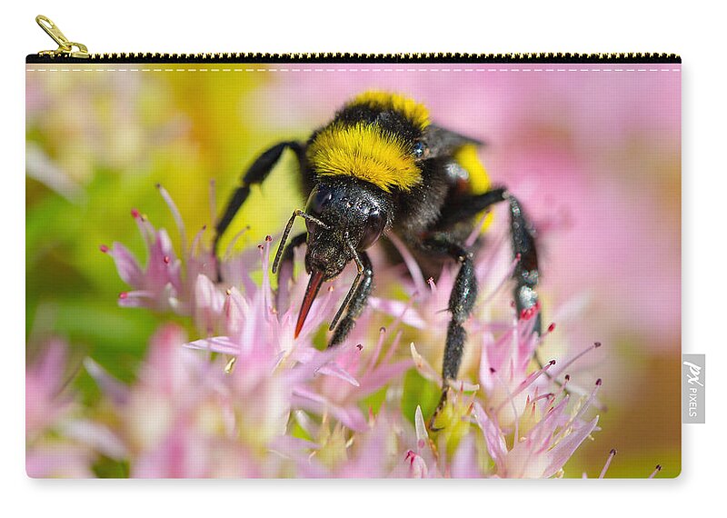 Autumn Zip Pouch featuring the photograph Sipping Nectar by SR Green