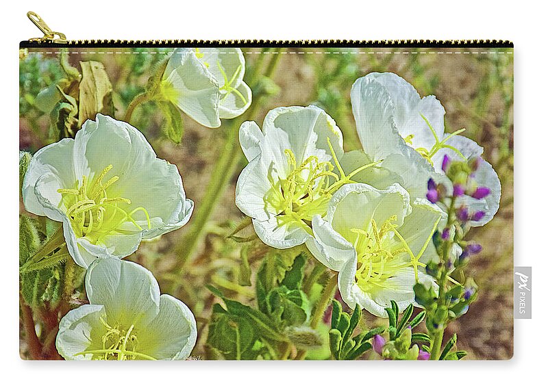 Six Dune Evening Primrose In Anza-borrego State Park Zip Pouch featuring the photograph Six Dune Evening Primrose inAnza-Borrego State Park-California by Ruth Hager