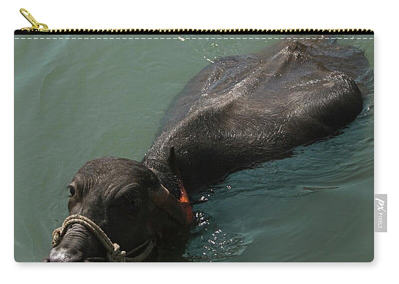 Keeping Zip Pouch featuring the photograph SKC 5600 Keeping Cool by Sunil Kapadia