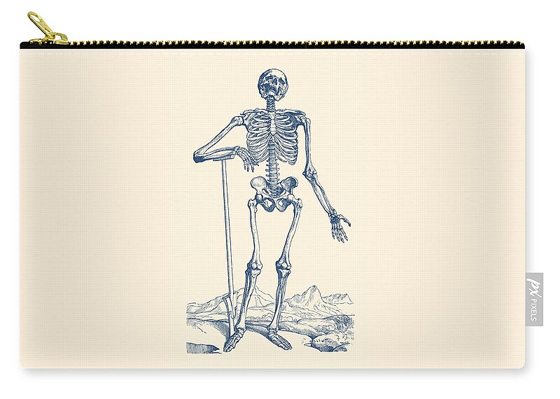 Skull Zip Pouch featuring the drawing Skeleton In The Wild - Vintage Anatomy Print by Vintage Anatomy Prints