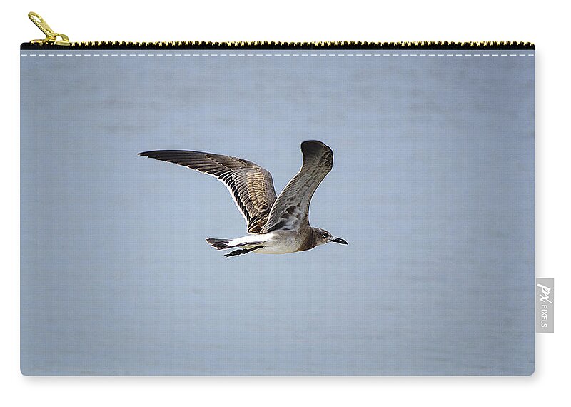 Seagull Zip Pouch featuring the photograph Skimming Seagull by Kenneth Albin