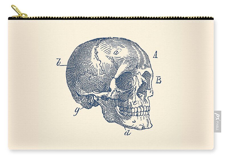 Skeleton Zip Pouch featuring the drawing Skull Diagram - Vintage Anatomy Poster by Vintage Anatomy Prints