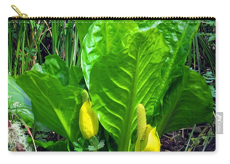 Skunk-cabbage Zip Pouch featuring the photograph Skunk Cabbage In Bloom by Joyce Dickens