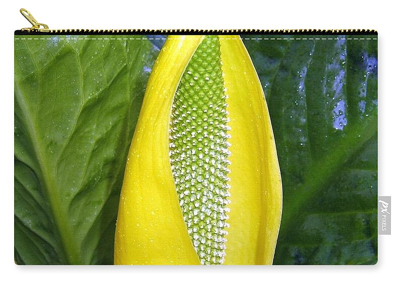 Skunk Cabbage Zip Pouch featuring the photograph Skunk Cabbage by Will Borden