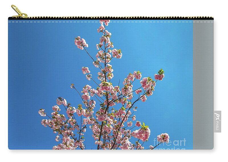 Cherry Blossom Zip Pouch featuring the photograph Sky Cherry Blossom by Benny Marty