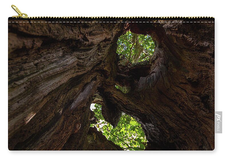 Cumbria Lake District Zip Pouch featuring the photograph Sky view through a hollow tree trunk by Iordanis Pallikaras