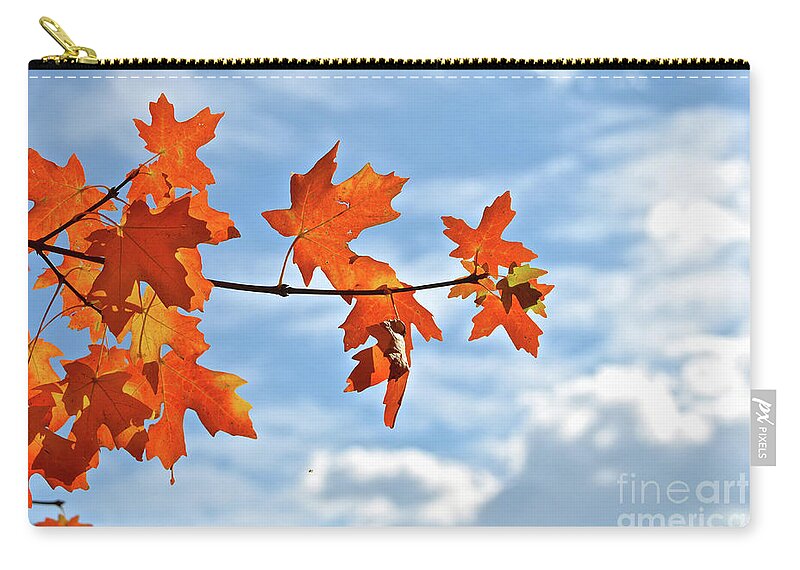 Orange Zip Pouch featuring the photograph Sky View with Autumn Maple Leaves by Cindy Schneider