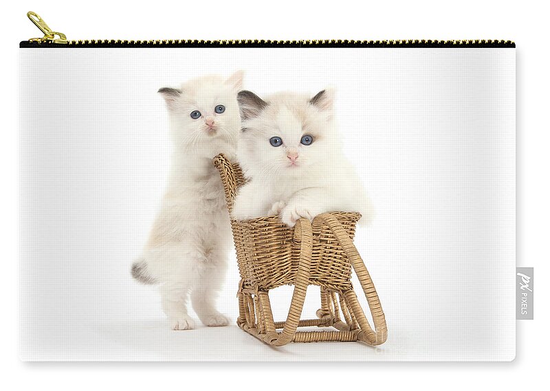 Ragdoll Zip Pouch featuring the photograph Sledging Kittens by Warren Photographic