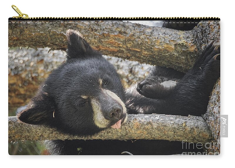 Jigsaw puzzle animal wild Bear Cub Snoozing 550 piece NEW 