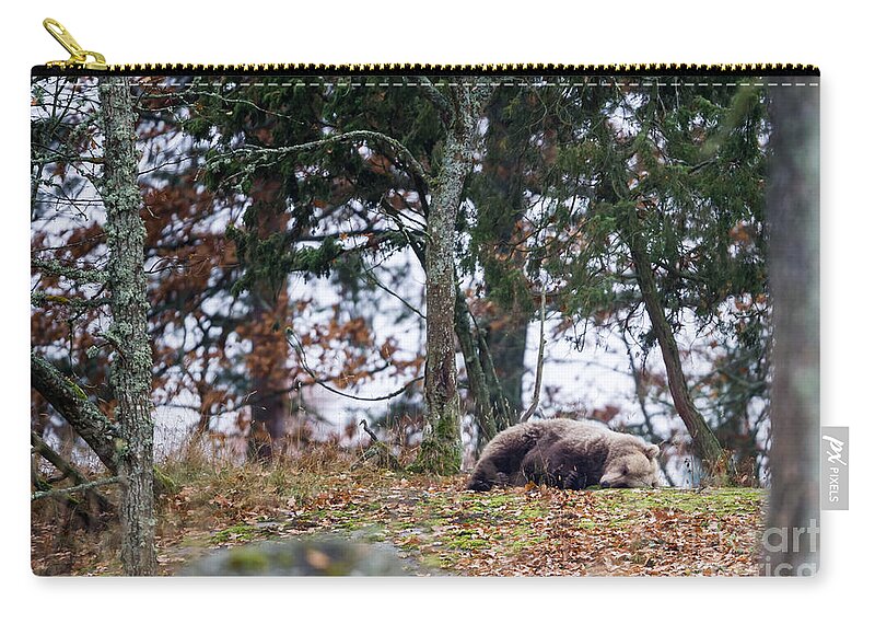 Bear Zip Pouch featuring the photograph Sleeping Bear by Torbjorn Swenelius