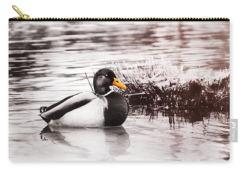 Duck Zip Pouch featuring the photograph Sleeping Duck by Jaroslav Buna