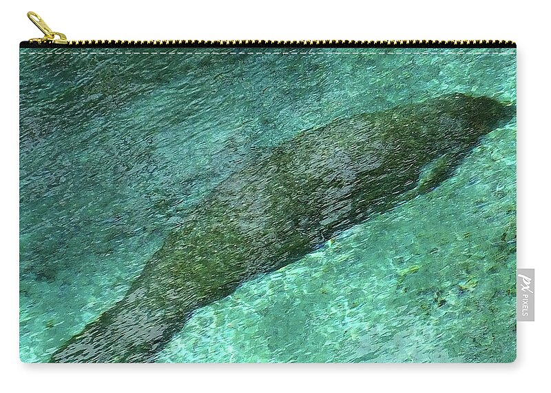 Three Sisters Springs Zip Pouch featuring the photograph Sleeping Manatee in Three Sisters Springs by Judy Wanamaker