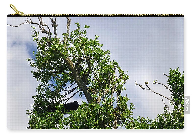 Wide Zip Pouch featuring the photograph Sleeping Monkey 2 by Francesca Mackenney