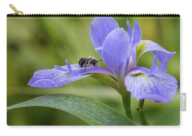 Bumble Bee Zip Pouch featuring the photograph Sleeping on the Iris by Christy Cox