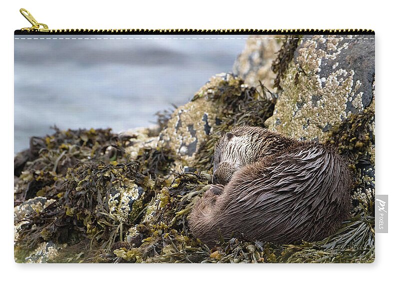 Otter Zip Pouch featuring the photograph Sleeping Otter by Pete Walkden