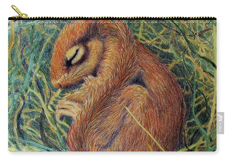 Squirrel Zip Pouch featuring the drawing Sleeping by Phyllis Howard