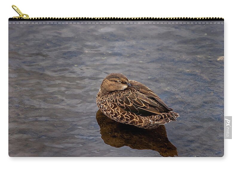 Nature Zip Pouch featuring the photograph Sleepy Duck by Arthur Dodd