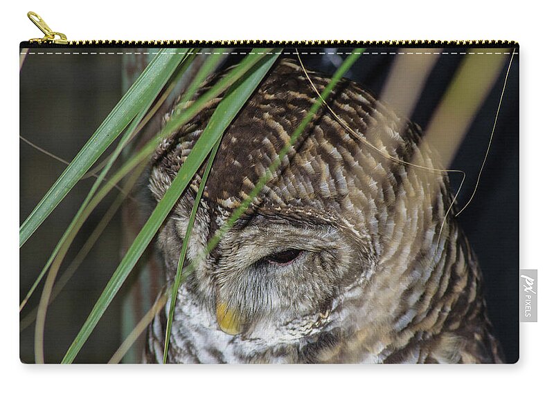 Owl Zip Pouch featuring the photograph Sleepy Owl by Shannon Harrington