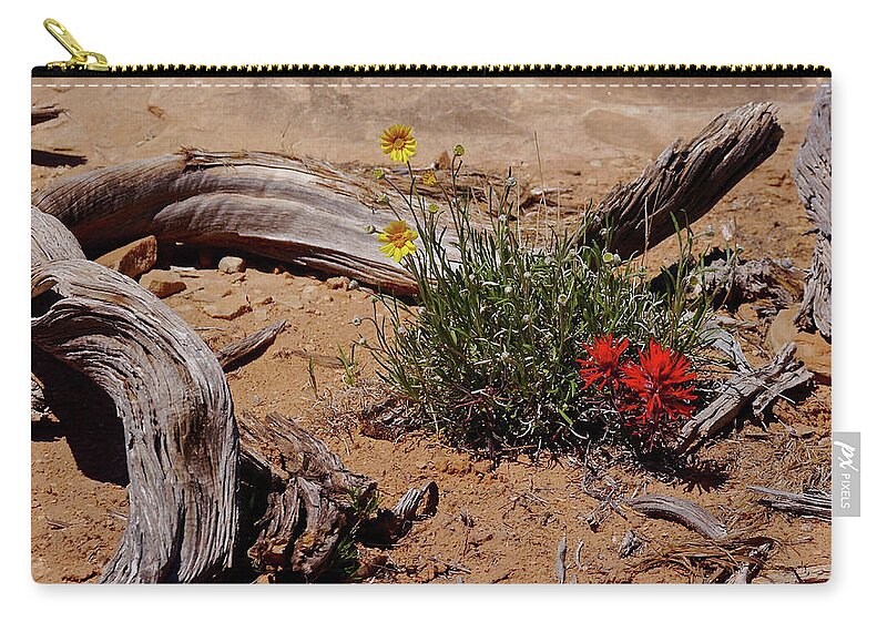 Canyonlands Zip Pouch featuring the photograph Slickrock Trail Paintbrush by Amelia Racca