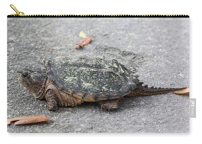 Turtle Carry-all Pouch featuring the photograph Slow Crossing 3 March 2018 by D K Wall
