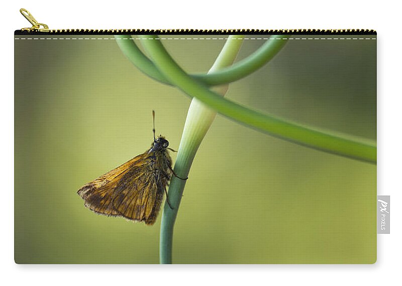 Insect Zip Pouch featuring the photograph Small butterfly sitting on garlic flower by Jaroslaw Blaminsky
