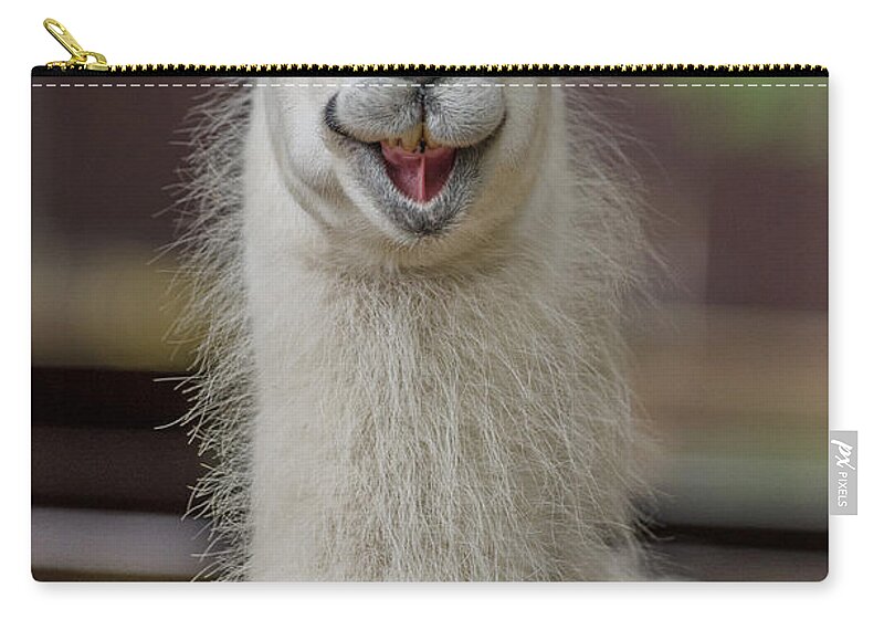 Alpaca Zip Pouch featuring the photograph Smiling Alpaca by Greg Nyquist