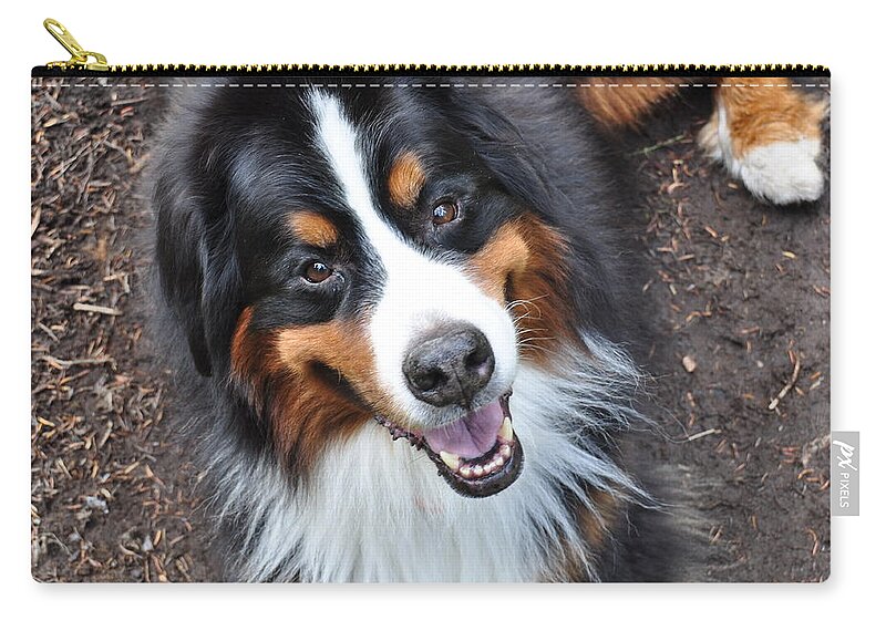Outside Carry-all Pouch featuring the photograph Smiling Bernese Mountain Dog by Pelo Blanco Photo