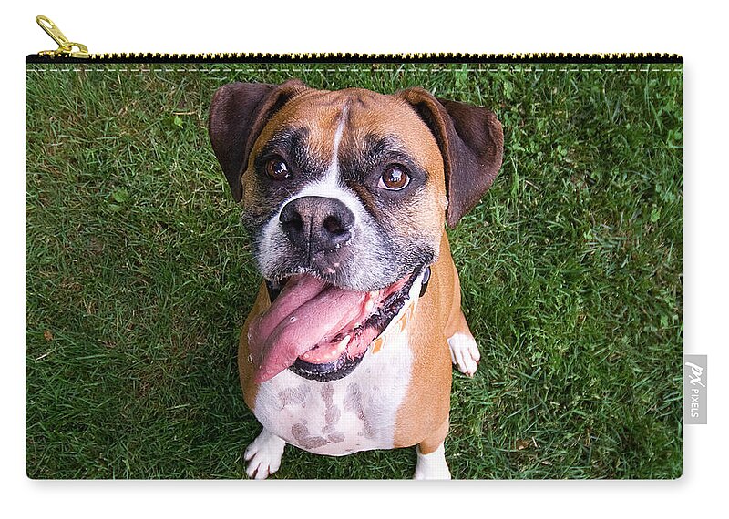 Boxer Zip Pouch featuring the photograph Smiling Boxer Dog by Stephanie McDowell