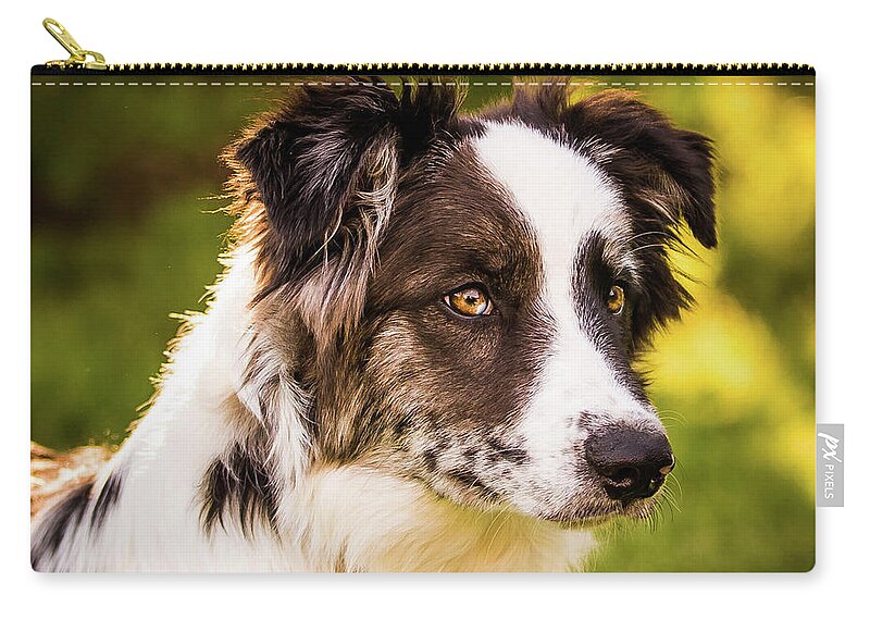 Rescued Zip Pouch featuring the photograph Smokey's Second Chance by Cynthia Wolfe