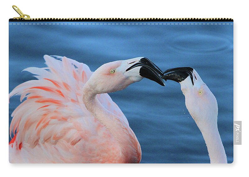 Flamingo Zip Pouch featuring the photograph Smooches by Shoal Hollingsworth